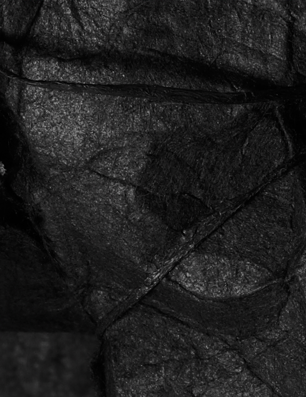 20121021_Black_Paper_2-69510_Cropped